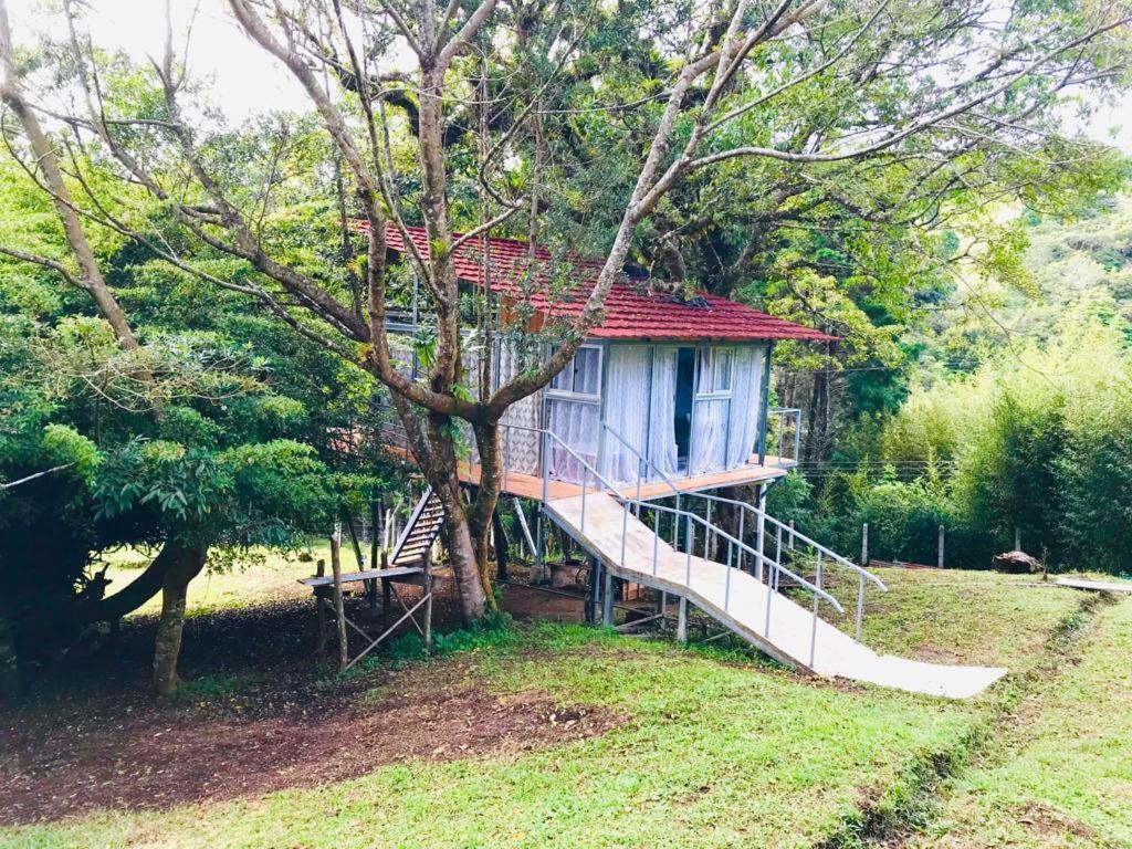 Cabana Treehouse Mountain View San Isidro  Buitenkant foto